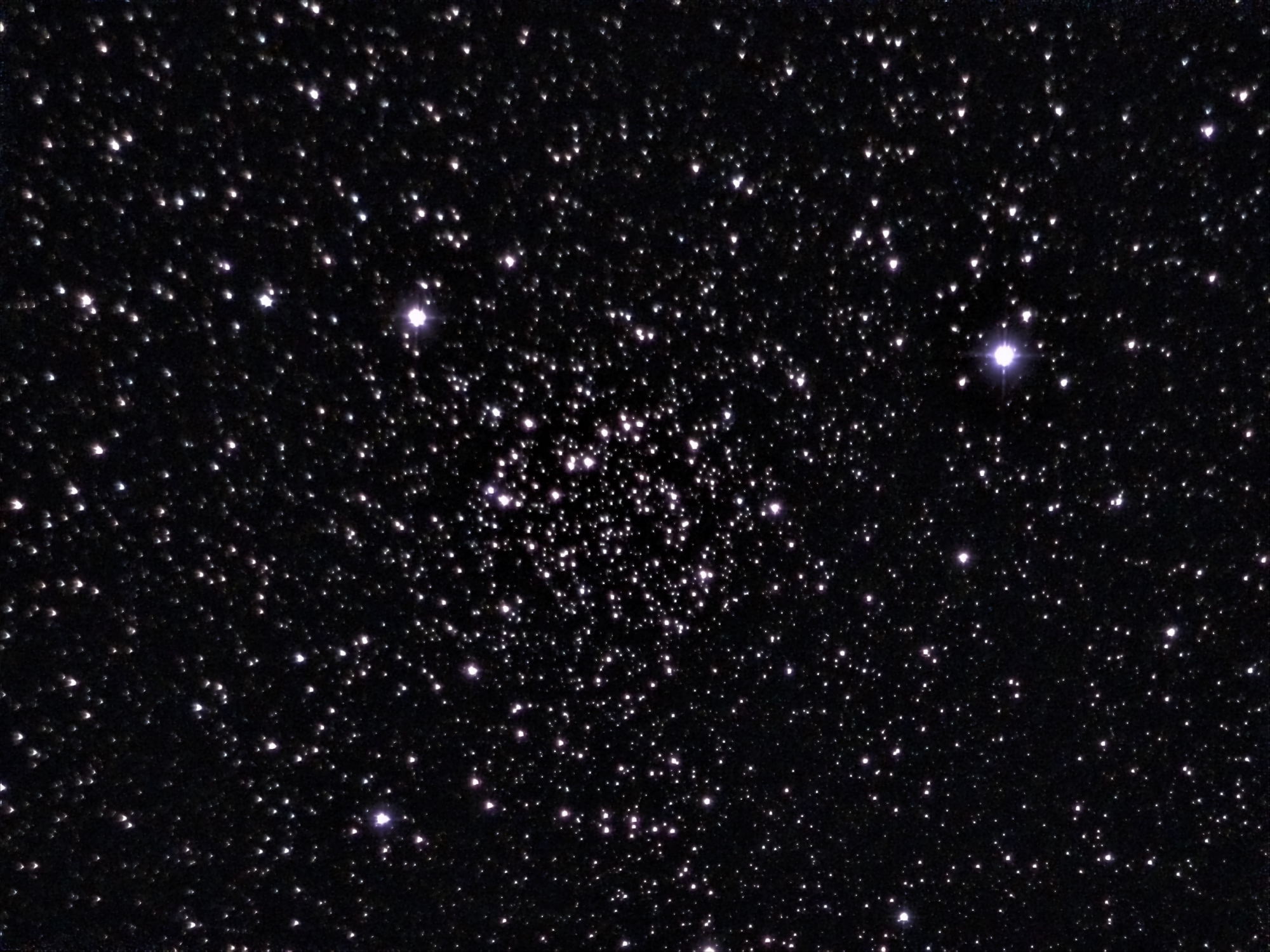 White Rose Star Cluster