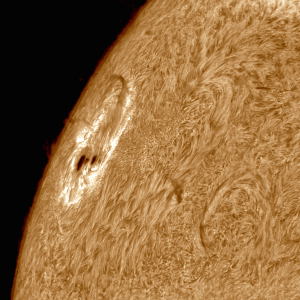Sunspot with Prominence by Dennis Roscoe 