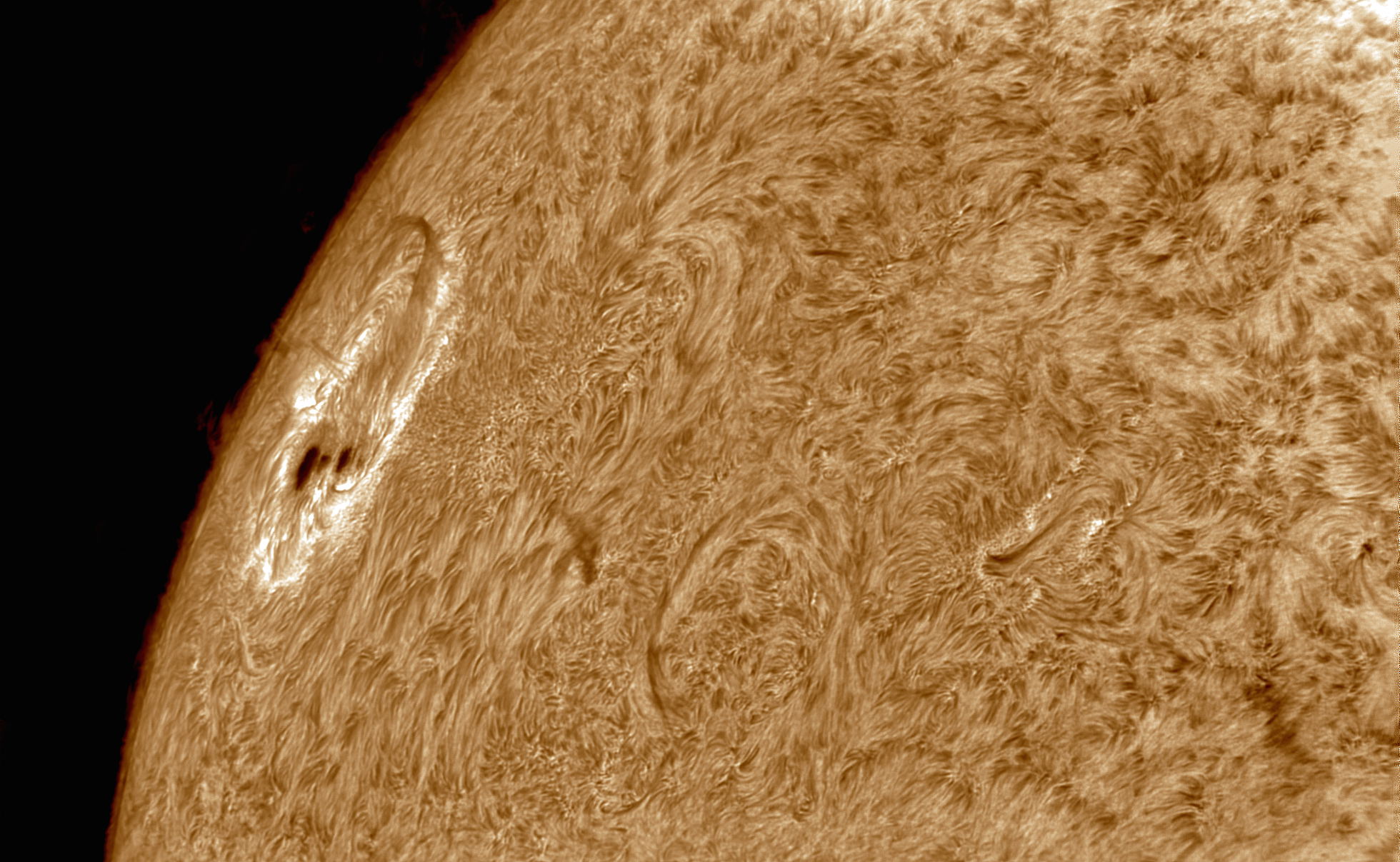 Sunspot with Prominence