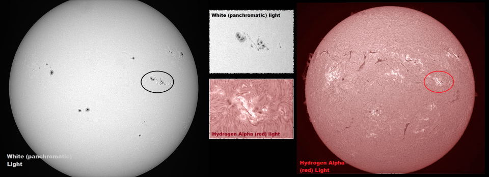 The Sun using our White Light & H-Alpha telescopes